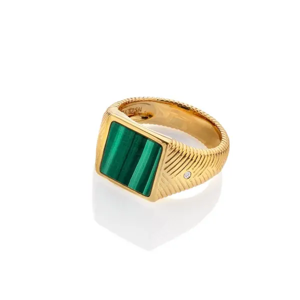 Image of Hot Diamonds x Jac Jossa Revive Malachite Signet Ring DR250 Size M Siz