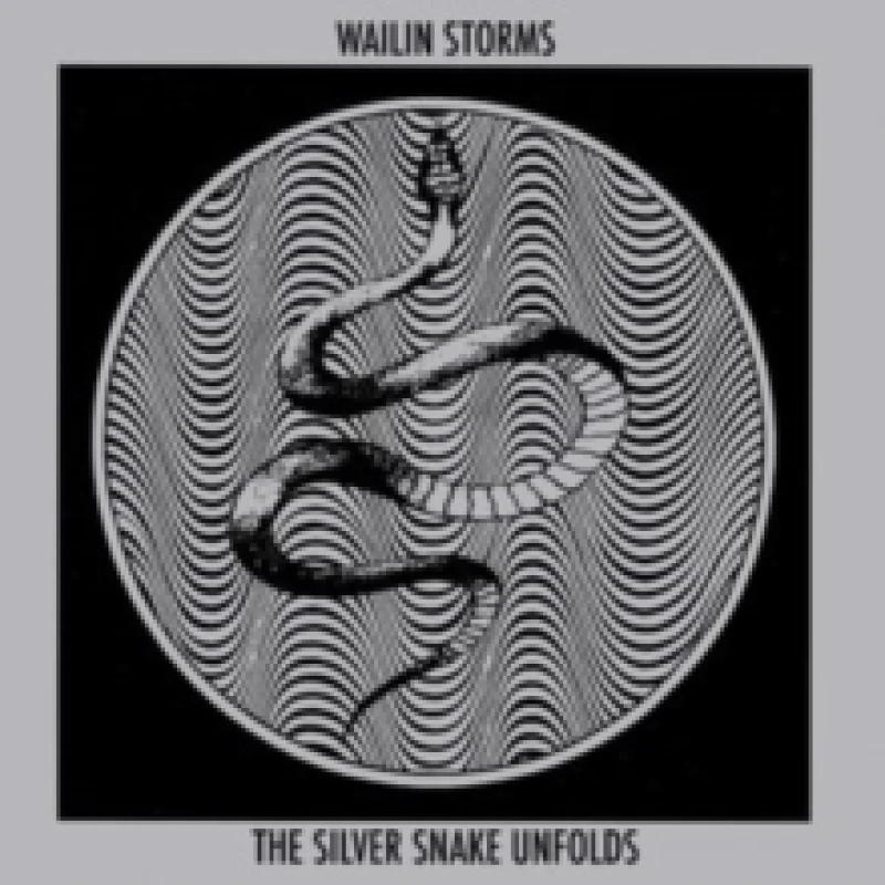 Image of The silver snake unfolds CD / Album