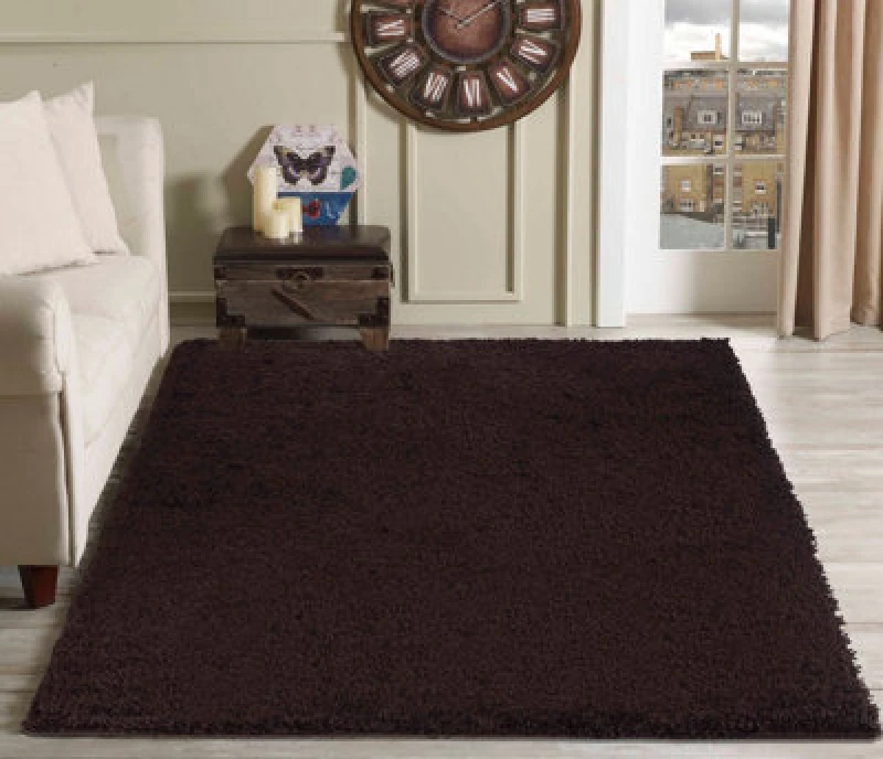 Image of Desire Rugs Plain Living Room Shaggy Area Rugs Brown 120X170 Cm