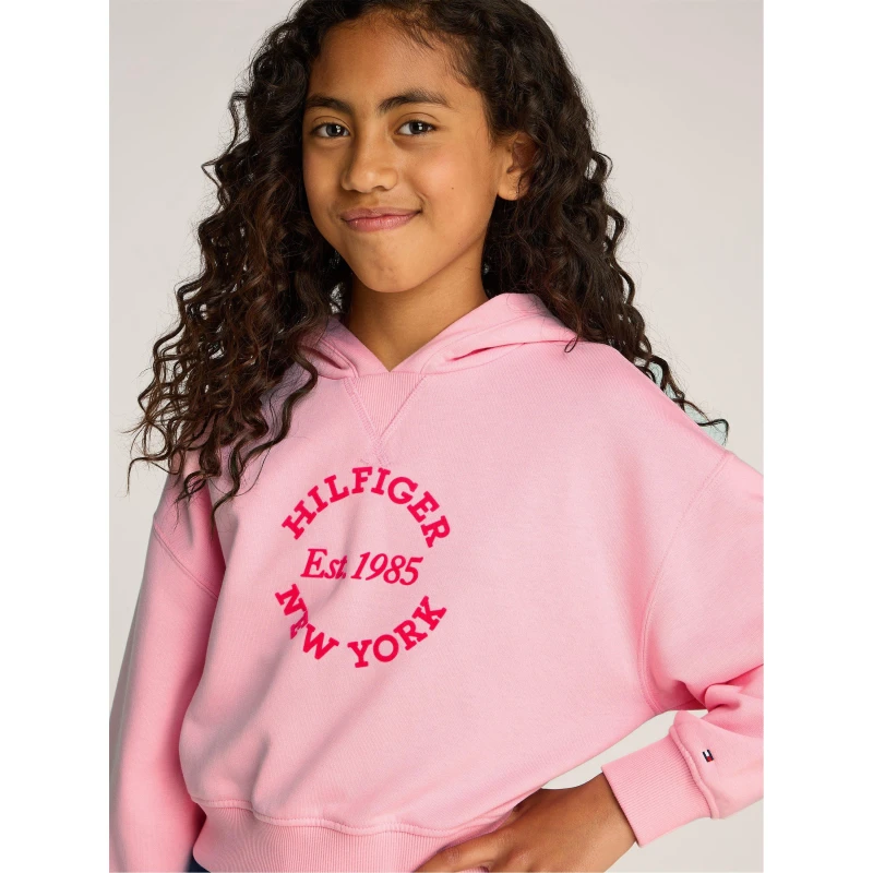 Image of Tommy Hilfiger HILFIGER NEW YORK HOODIE OTH Hoodies 6Y Pink 52995606155