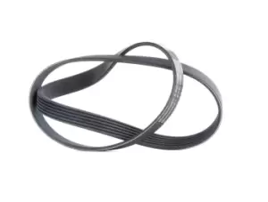 Image of CONTITECH V-ribbed belt VW,AUDI,BMW 6PK1080 60662969,60815412,036145933AJ 036145933J,03L903137D,06B145933,11281715770,11281736717,11281736719,1718671