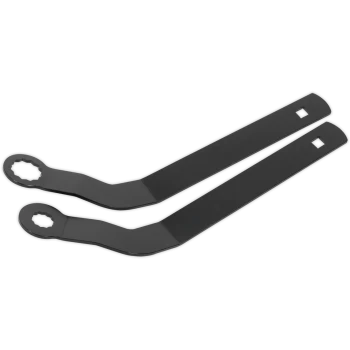 Image of Sealey VSE6211 BMW Mini Auxiliary Belt Tensioner Spanner Set