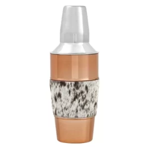 Image of Albany Cocktail Shaker