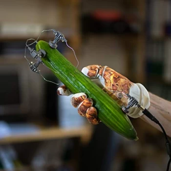 Image of Gajek - Vitamin D Vinyl