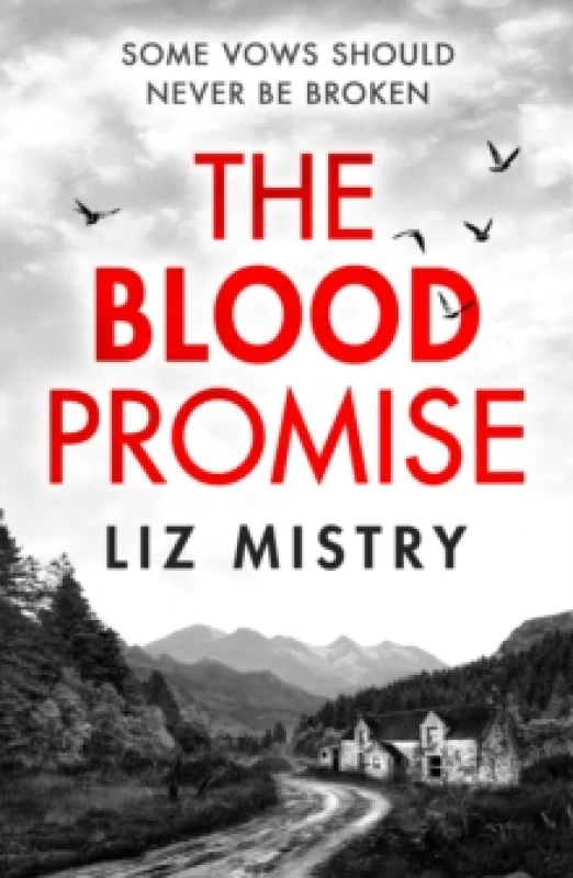 Image of The Blood Promise Paperback / softback