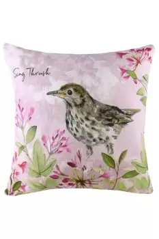 Image of Song Thrush Hand-Painted Watercolour Printed Cushion