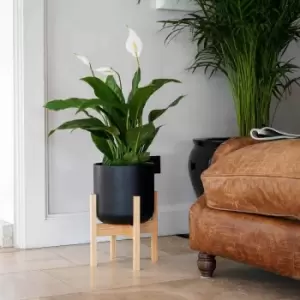 Image of Ivyline Lisbon Planter Anthracite - H26Cm D26Cm