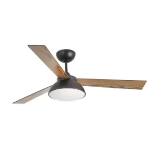 Image of Rodas LED Brown Ceiling Fan with DC Motor Smart - Remote Included, 3000K
