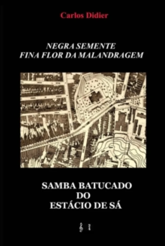 Image of Negra semente, fina flor da malandragem : samba batucado do Estacio de Sa Paperback / softback