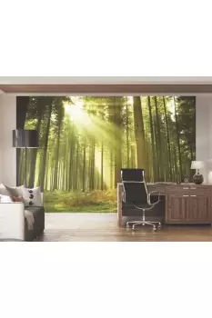 Image of Spruce Forest Wall Mural