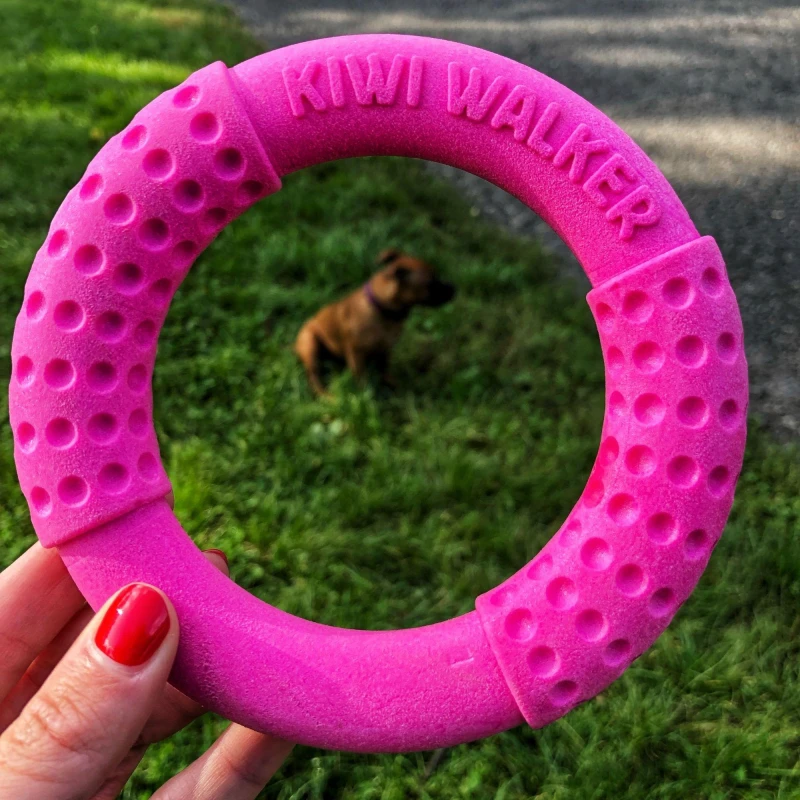 Image of Kiwi Walker Let'S Play! Twin Pack Featuring A Ring And Ball - Pink Pink WX7U1 Unisex