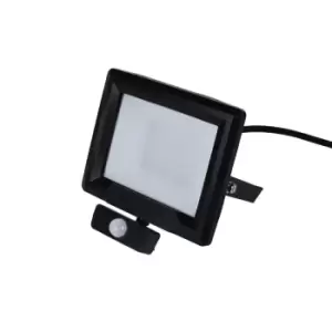 Image of Robus HiLume 30W LED Flood Light with PIR IP65 Black Warm White - RHL3030P-04