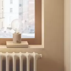 Image of Concrete and Brushed Chrome Bulb Holder