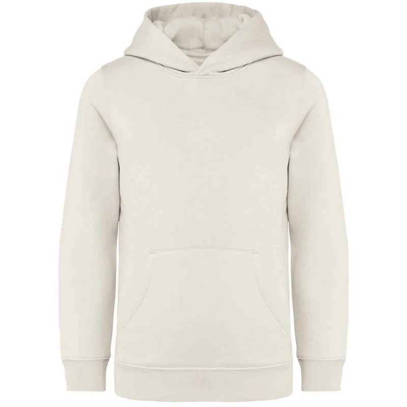 Image of Native Spirit PC5118 boys's Children's sweatshirt in White