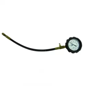 Image of Pressure Gauge Assembly