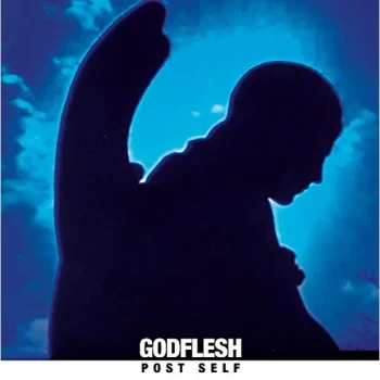 Image of Godflesh - Post Self CD