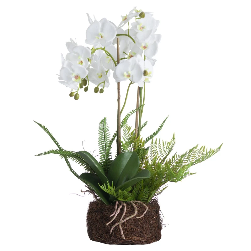 Image of Hill Interiors Orchid & Fern Garden in White White Unisex