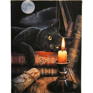 Image of Small Witching Hour Canvas Picture By Lisa Parker
