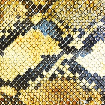 Image of The Amazing Snakeheads - Amphetamine Ballads CD