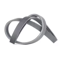 Image of CONTITECH V-ribbed belt FIAT,TOYOTA,HONDA 4PK790 11282245179,25183062,96444475 25183062,96444475,9004831012,9004831013,9004831013000,9004831018