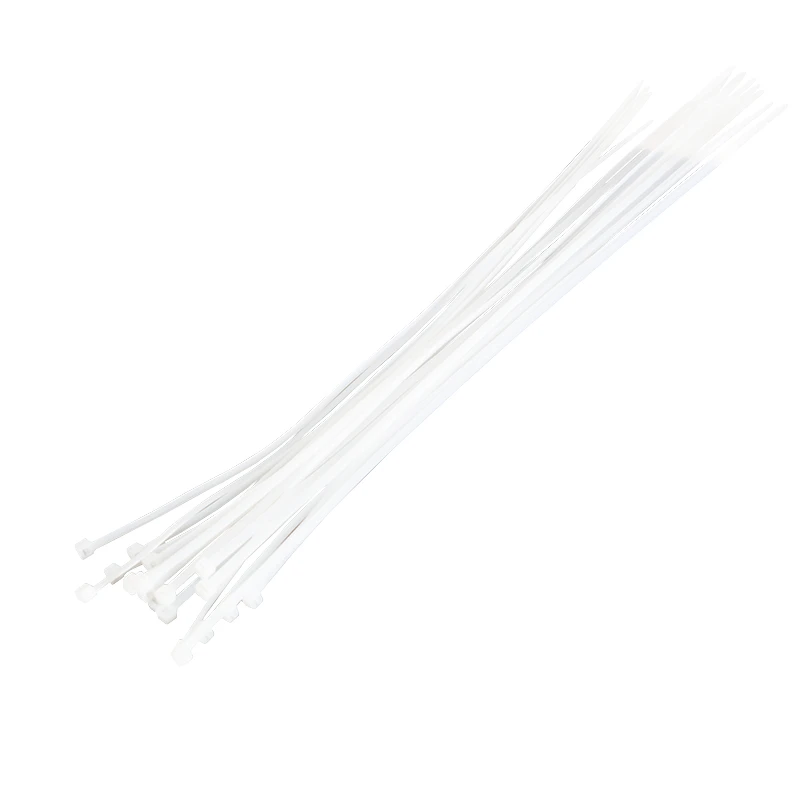 Image of LogiLink KAB0041 cable tie Nylon Transparent 100 pc(s)