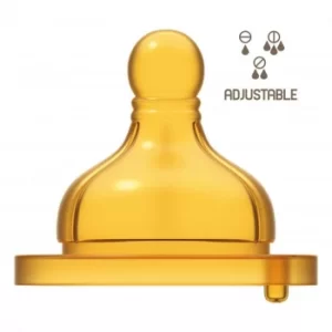 Image of Ch Tett Orig T Reg Cauc 2pz