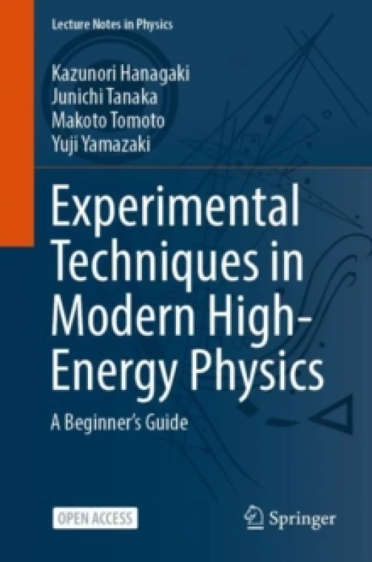 Image of Experimental Techniques in Modern High-Energy Physics : A Beginners Guide Paperback / softback