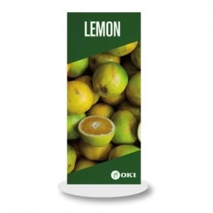 Image of OKI FASTDISPLAY White Metal