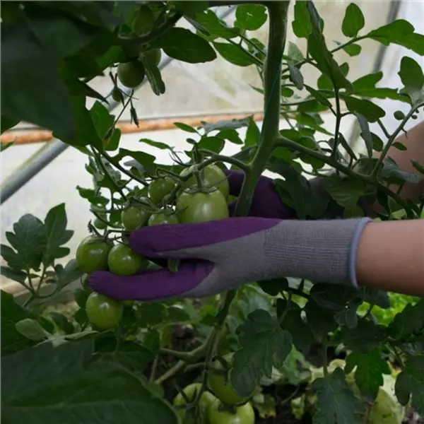 Image of Town & Country Bamboo Gloves Grape Extra Small