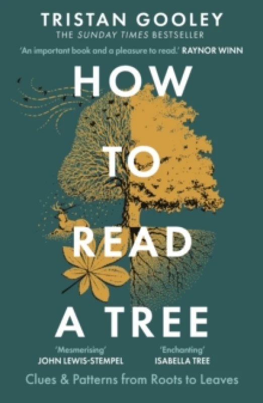 Image of How to Read a Tree : A must-have for all nature lovers - perfect reading for your springtime adventures Paperback / softback