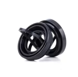 Image of RIDEX Brake Caliper Repair Kit 405R0098 Caliper Repair Kit,Brake Caliper Rebuild Kit VW,AUDI,SKODA,Golf IV Schragheck (1J1),Golf V Schragheck (1K1)