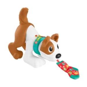 Image of Fisher-Price 123 Crawl With Me Puppy