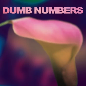 Image of Dumb Numbers - Dumb Numbers Vinyl