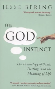 Image of The God Instinct by Jesse Bering Paperback