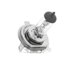 Image of MAGNETI MARELLI Light Bulbs VW,AUDI,OPEL 002555100000 Bulb, spotlight