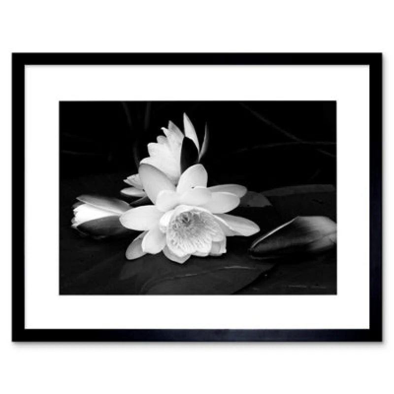 Image of Artery8 White Lotus Flower Bloom Black Photo Home Decor 12X16" Framed Wall Art Print