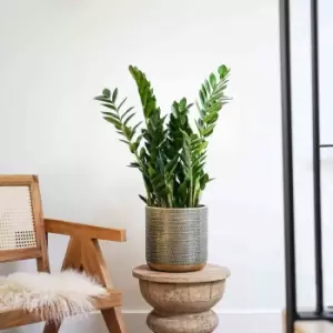 Image of Ivyline Solis Embossed Planter Gold H25CM D25CM