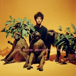Image of Skinny Pelembe - Dreaming Is Dead Now Vinyl