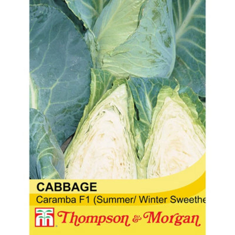 Image of Thompson & Morgan Cabbage Caramba F1 Hybrid 1 Seed Packet (30 Seeds)