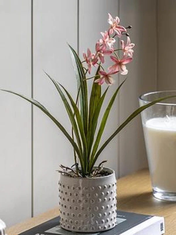 Image of Crossland Grove Orchid Pink in White Ceramic Dot Pot 400mm, White 5056693592631