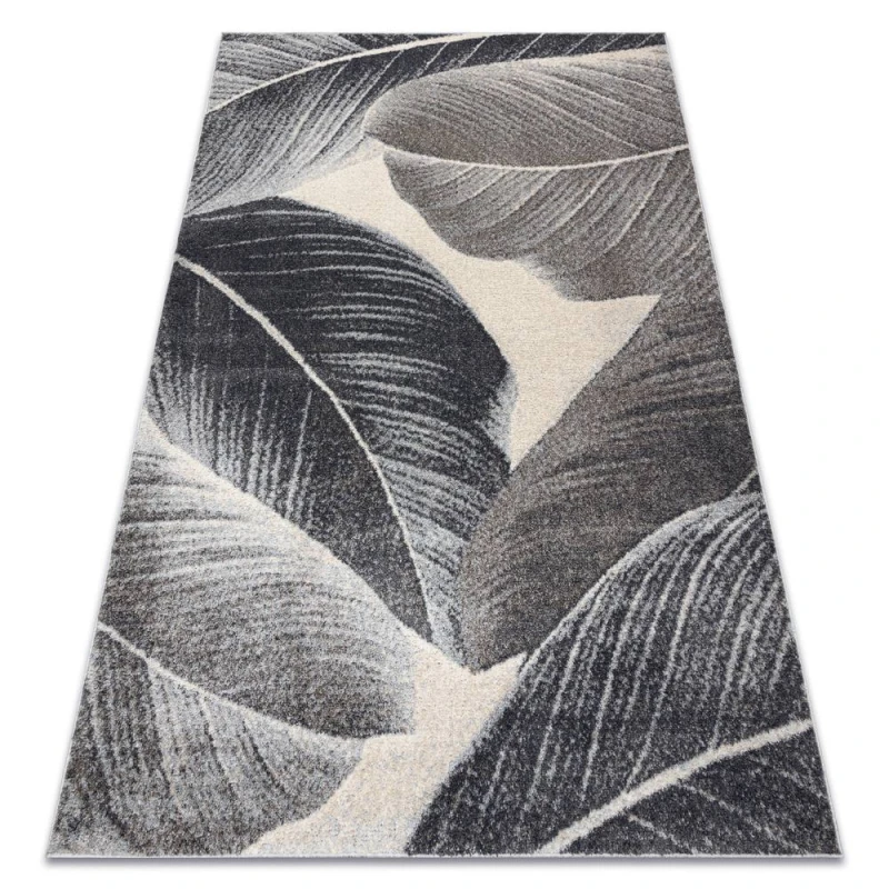 Image of RugsX Carpet Fusion 8912 Dark Grey - Feathers, Modern, Abstract 160X220 Cm