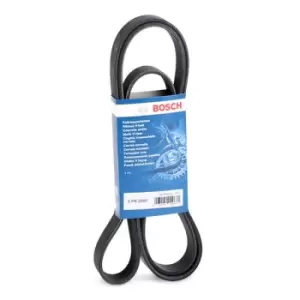 Image of Bosch V-ribbed belt 1 987 947 556 Serpentine belt,Auxiliary belt OPEL,RENAULT,TOYOTA,Movano Kastenwagen (X70),Movano Bus (X70)