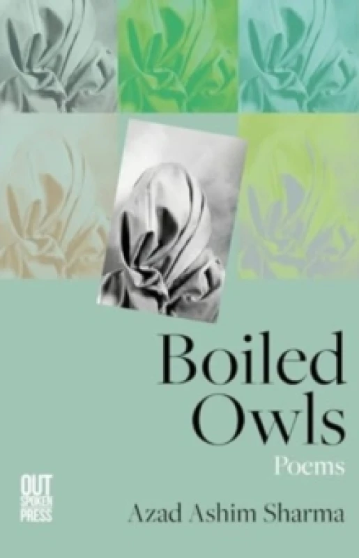 Image of Boiled Owls Paperback / softback