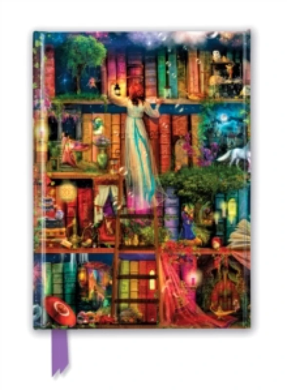 Image of Aimee Stewart: Treasure Hunt Bookshelves (Foiled Journal) Notebook / blank book