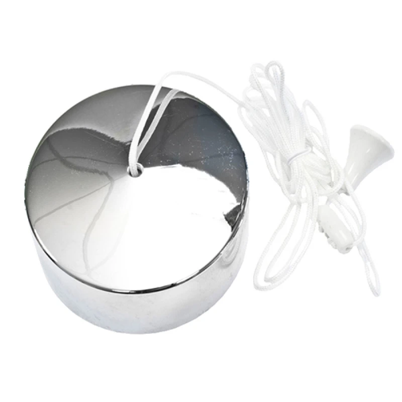 Image of Dencon 2 Way 6 Amp Ceiling Switch, Chrome