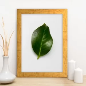 Image of AC7406288865 Multicolor Decorative Framed MDF Painting