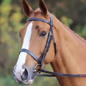 Image of Aviemore Aviemore Plain Bridle - Black