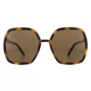Image of Square Havana and Gold Brown Sunglasses