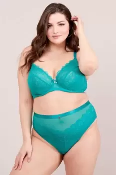 Image of Lace & Logo High Waist Brief