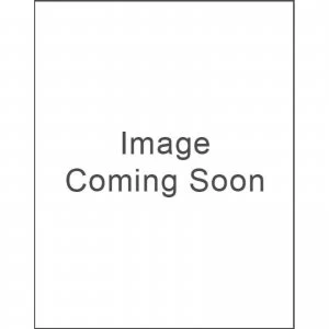 Image of The Chinese Boxer